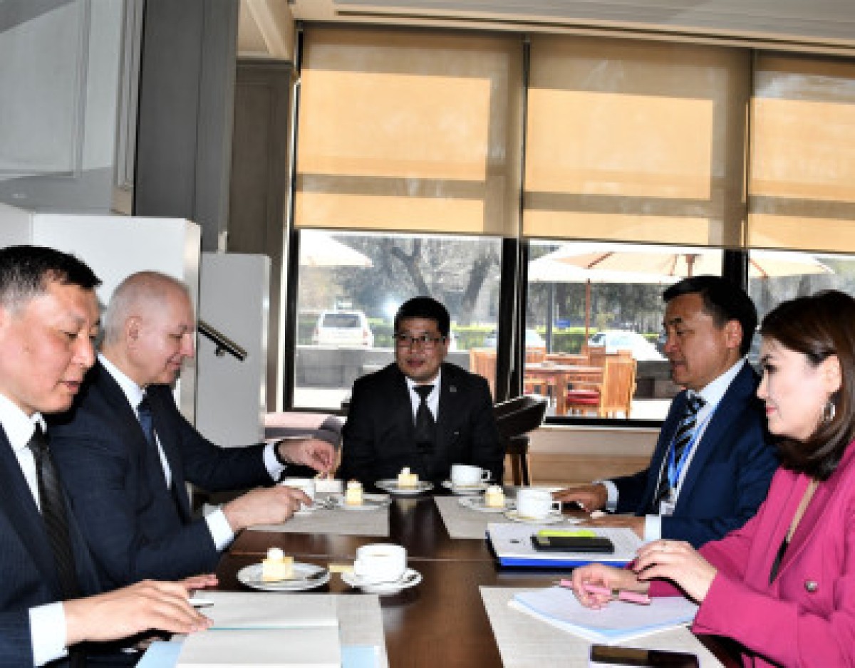 President of the Turkic Academy met with the Minister of Education and Science of the Kyrgyz Republic