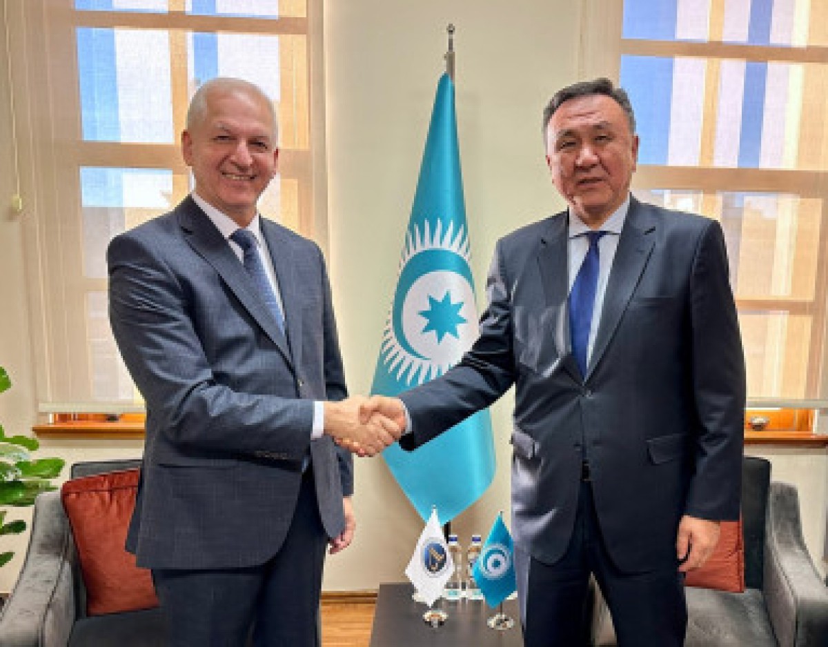 The President of the Turkic Academy with the Secretary General of the OTS took place in Istanbul