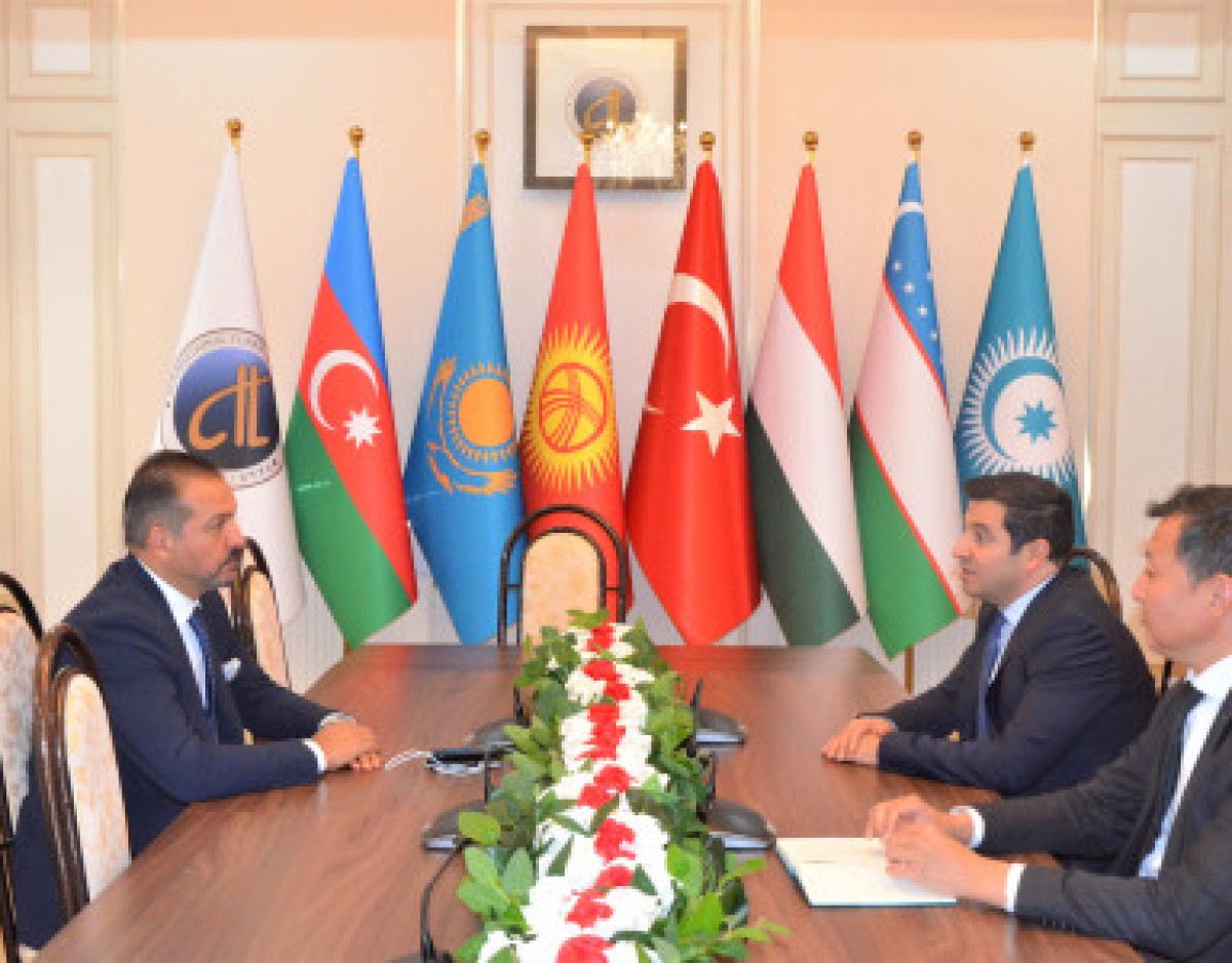 Acting President of the Turkic Academy met with Professor of the University of Haji Bayram Veli Kurşad Zorlu